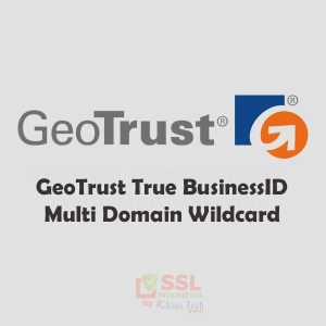 GeoTrust True BusinessID Multi-Domain Wildcard Certificates